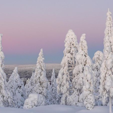 Charming Condo In The Downtown Rovaniemi Kültér fotó